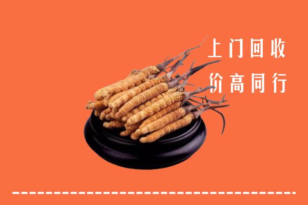 高价求购：沁阳市回收散虫草